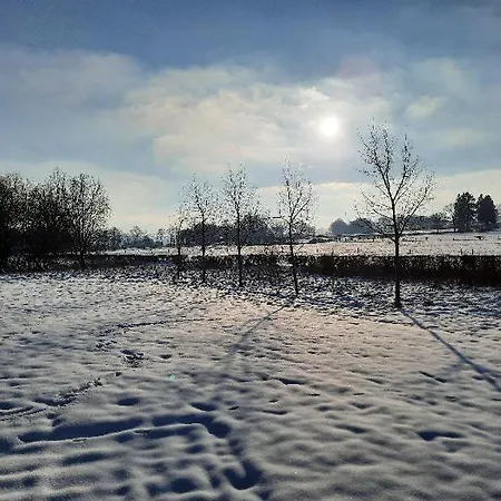 Le Grand Ravel Apartment Weismes