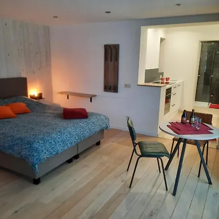 Appartement Le Grand Ravel *