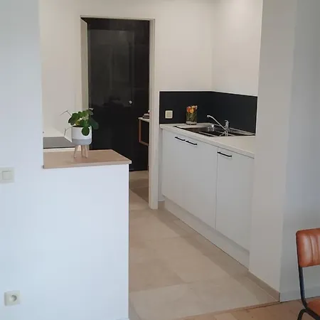 Le Grand Ravel Apartment Weismes