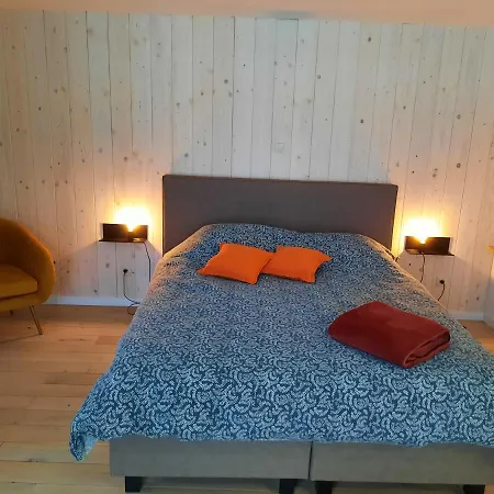 公寓 Le Grand Ravel *